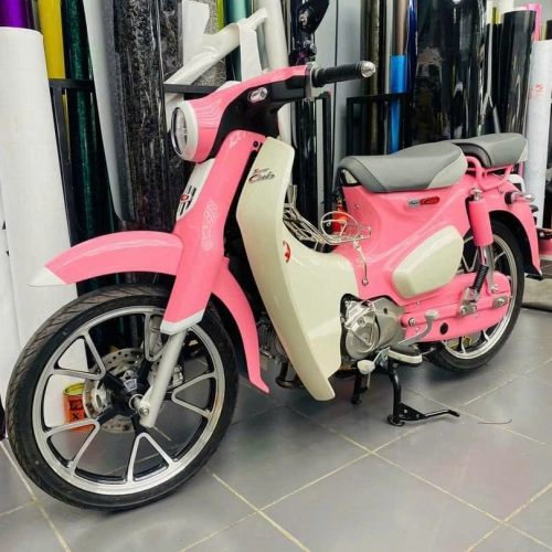 Full PPF - TPU cho e CUS